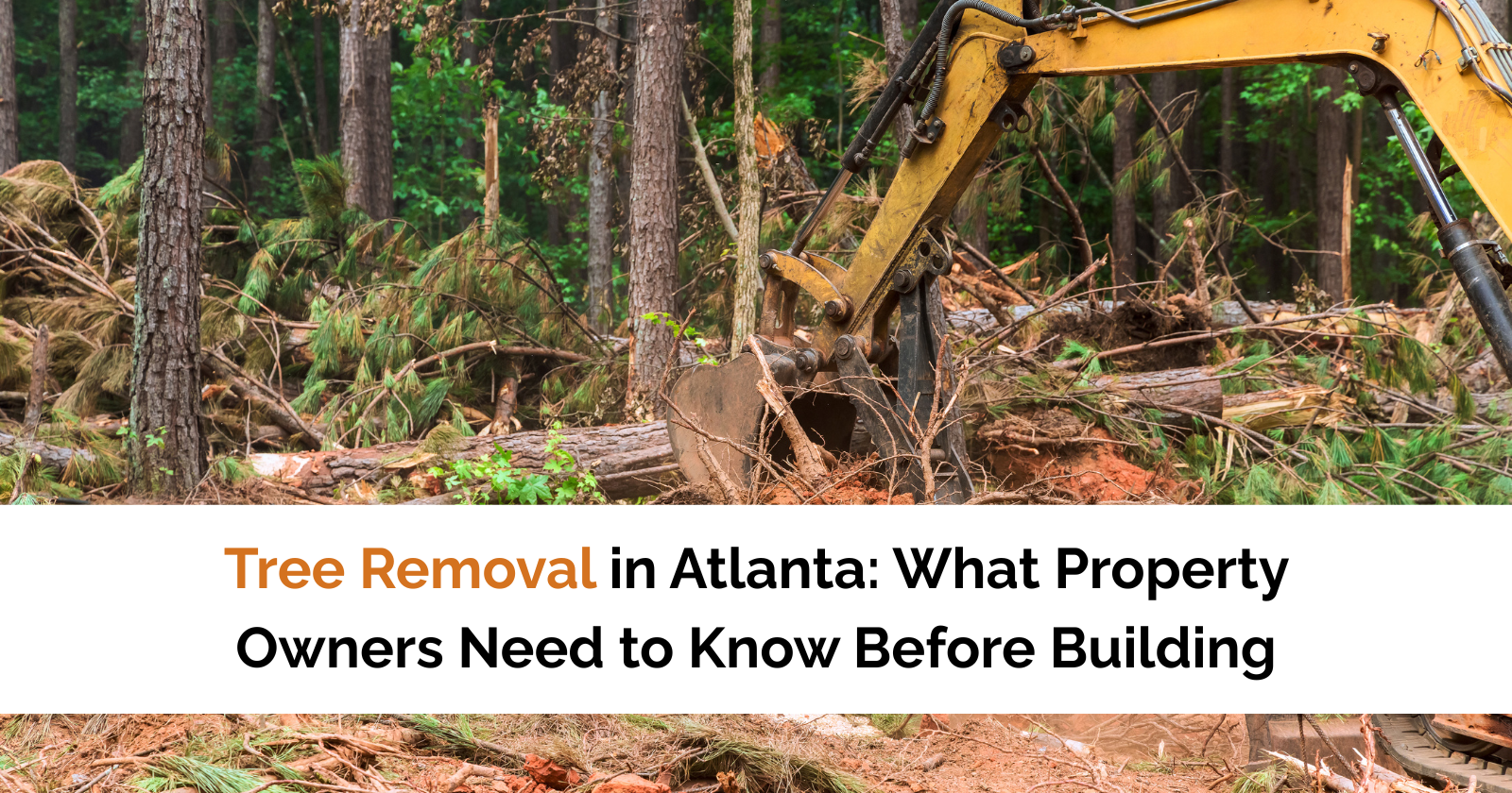 Tree Removal in Atlanta: What Property Owners Need to Know Before Building